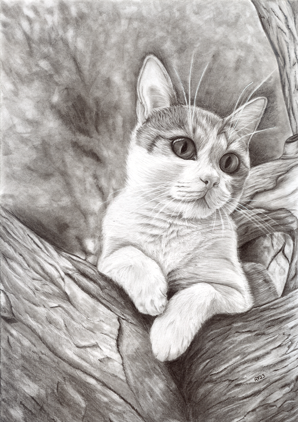 Dieses Bild von Katze Maxi wurde beim Best in Show Pets Art Wettbewerb eingereicht.